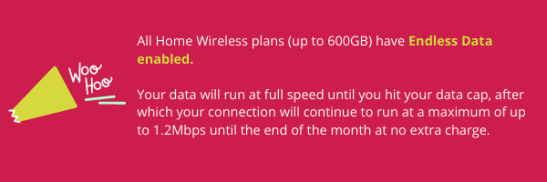 HW Endless Data (1)